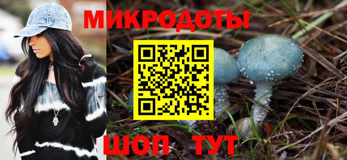 сколько стоит  Псилоцибиновые грибы мухоморы  Гатчина  Вход с VPN  Псилоцибиновые грибы мухоморы 