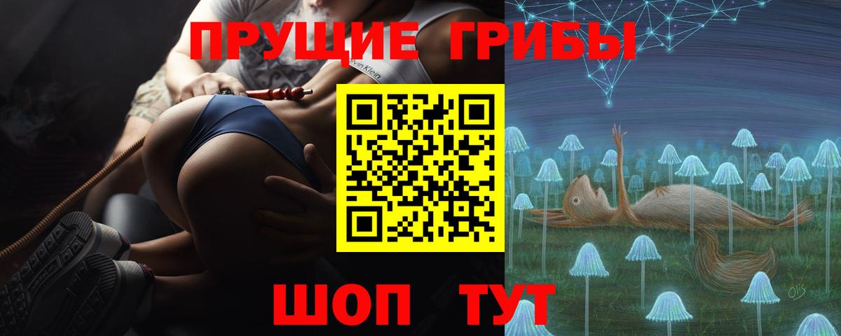 Галлюциногенные грибы Magic Shrooms Гатчина